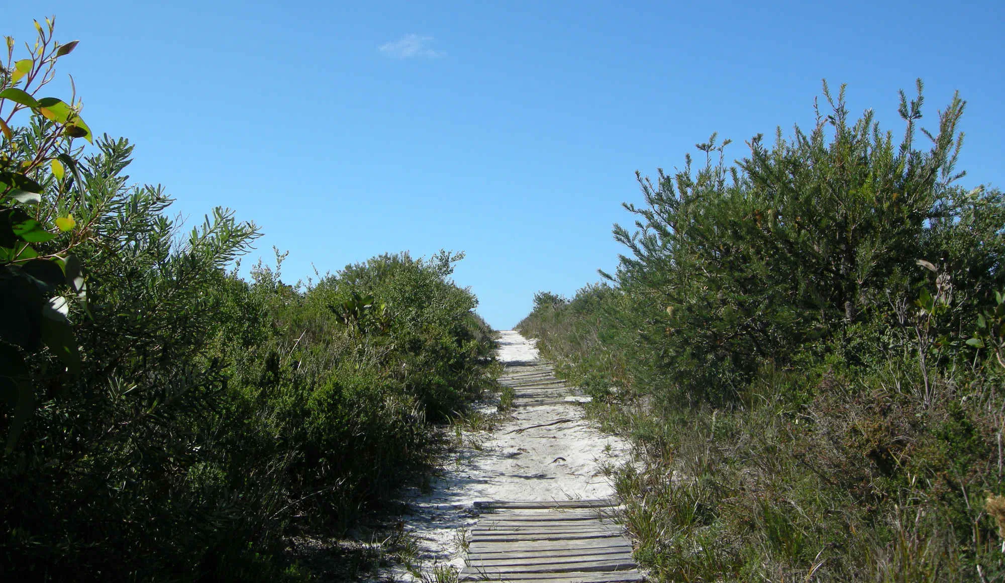 Landscape